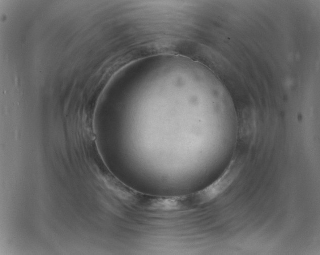 X0000070190140200606021107