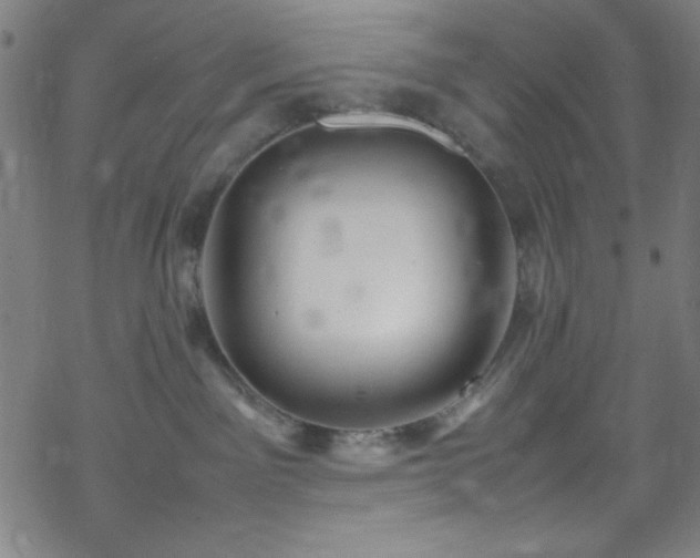 X0000070190141200606021107