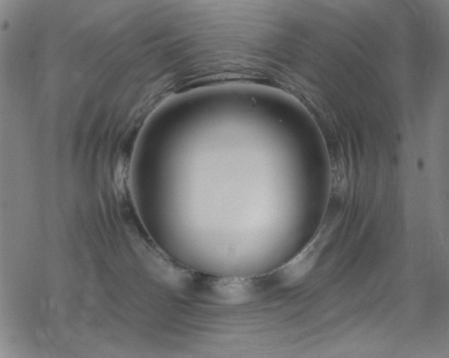 X0000070190142200606021107