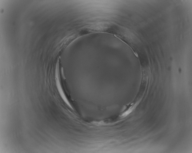 X0000070190143200606021107