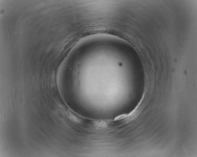 X0000070190144200606021106