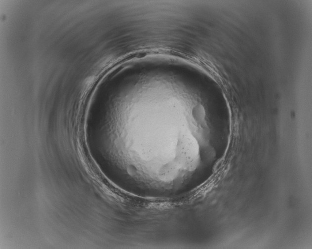 X0000070190145200606021106