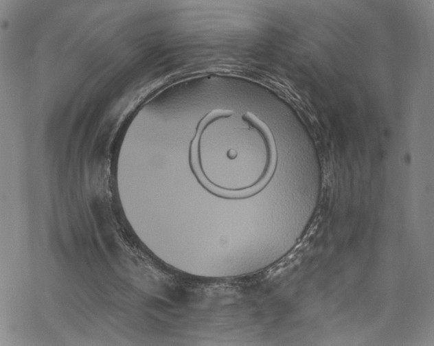 X0000070190146200606021106