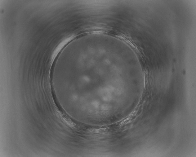 X0000070190147200606021106