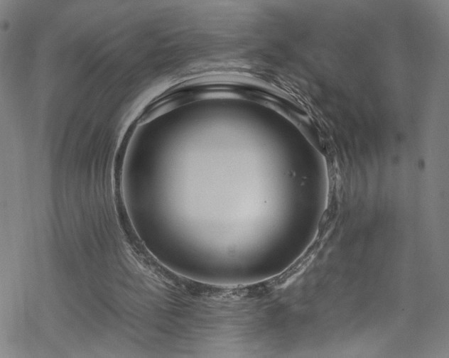 X0000070190148200606021106