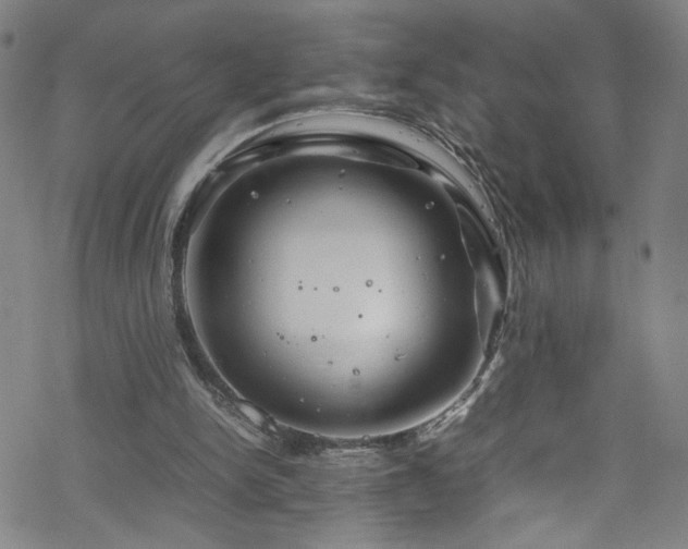 X0000070190150200606021106