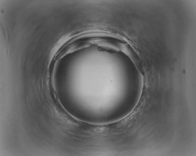 X0000070190152200606021106