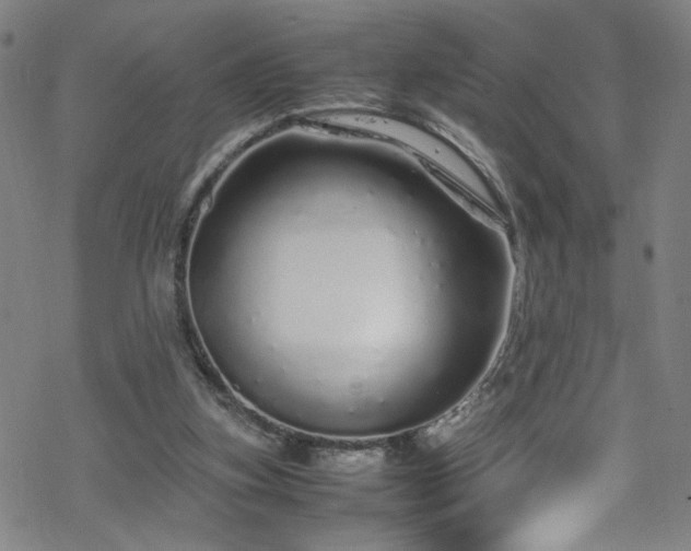 X0000070190155200606021106