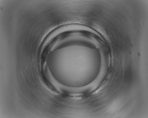 X0000070190156200606021106