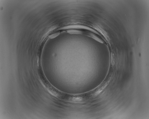 X0000070190157200606021106