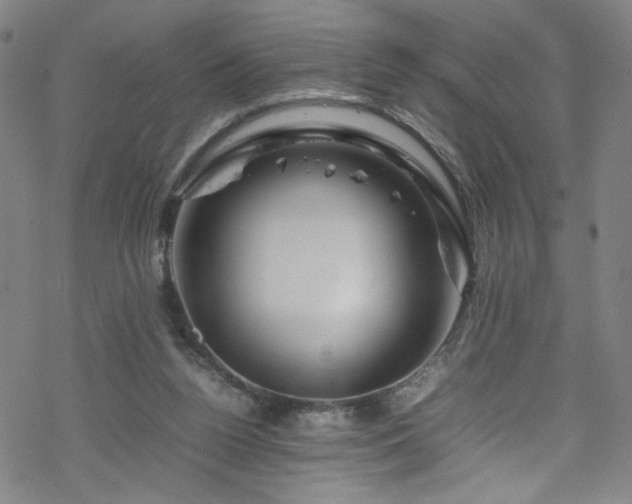 X0000070190160200606021106