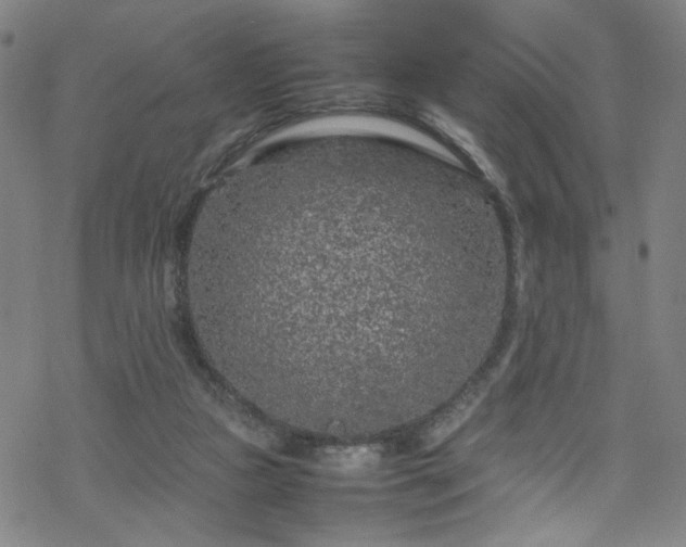 X0000070190161200606021106