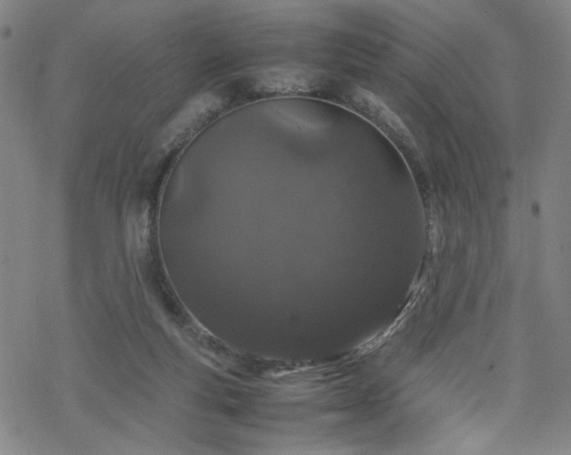 X0000070190163200606021106