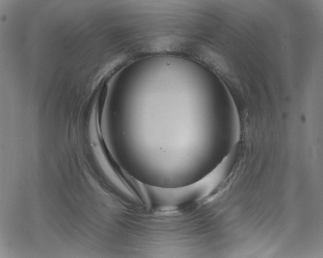 X0000070190164200606021106