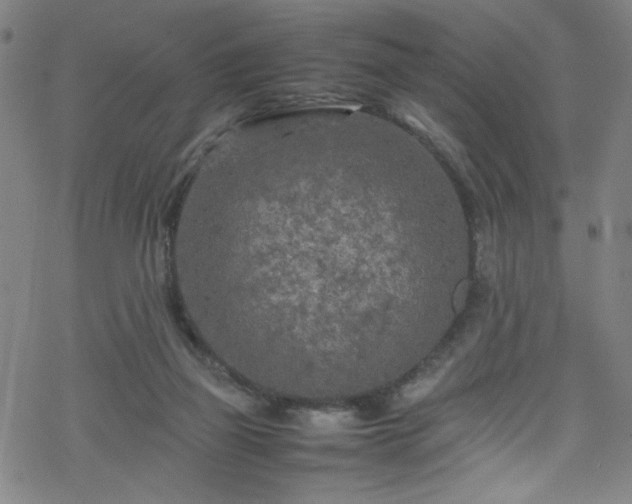 X0000070190165200606021106