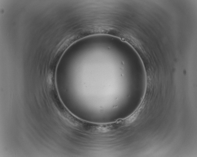 X0000070190166200606021106