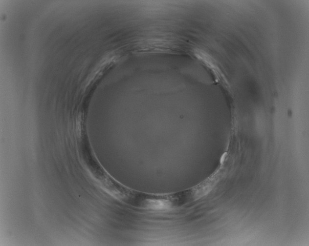 X0000070190167200606021106