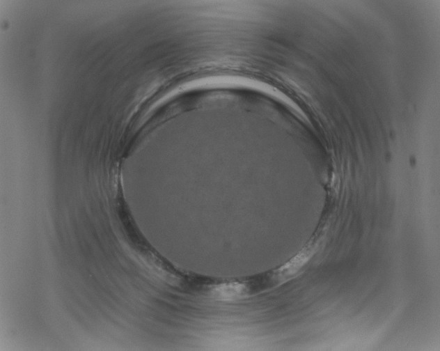 X0000070190168200606021106