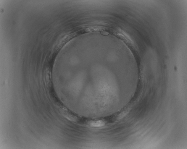 X0000070190169200606021106