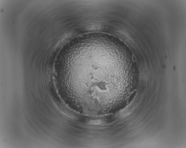 X0000070190171200606021106