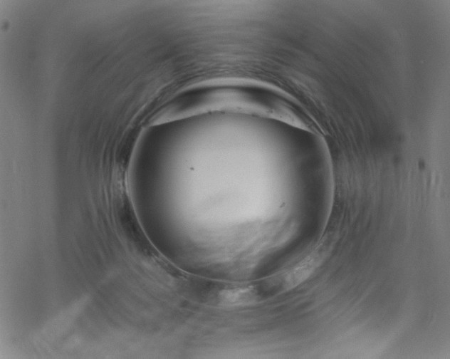 X0000070190172200606021106