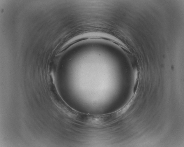 X0000070190174200606021106