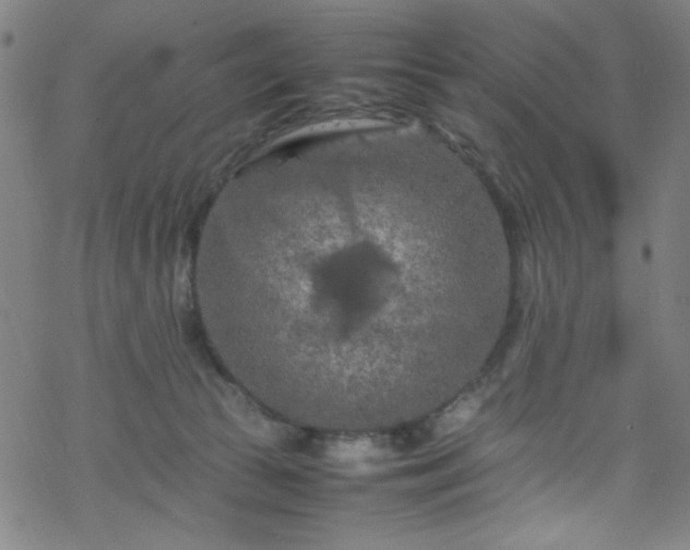 X0000070190177200606021106