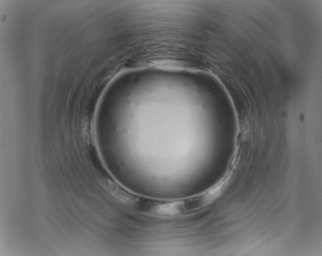 X0000070190178200606021106