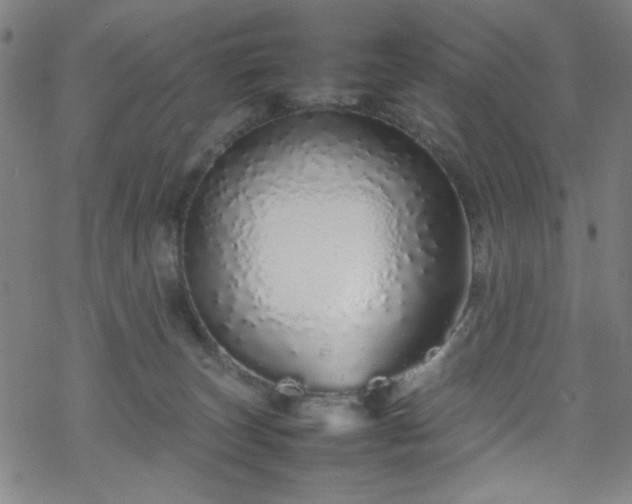 X0000070190179200606021106