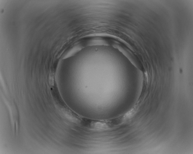 X0000070190180200606021106