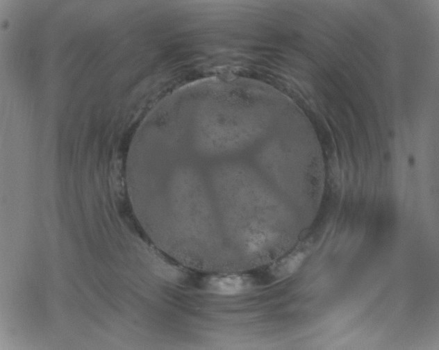 X0000070190181200606021106