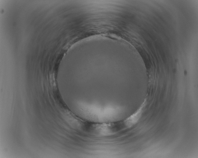 X0000070190182200606021106