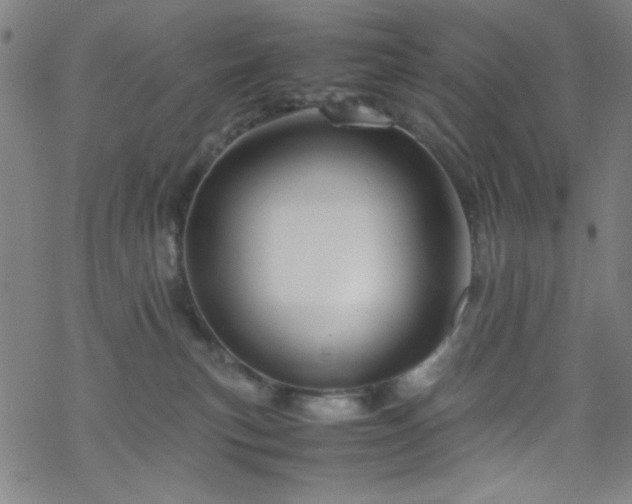 X0000070190183200606021106