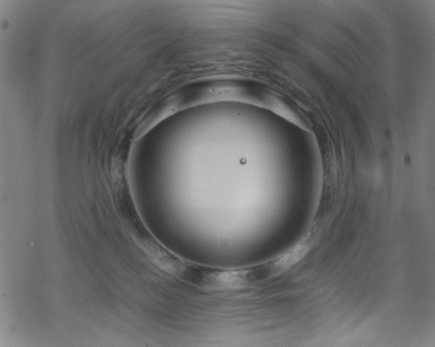 X0000070190184200606021106