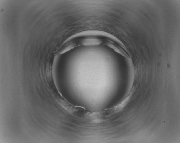 X0000070190186200606021106