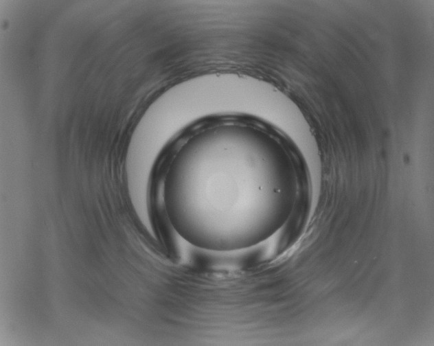 X0000070190188200606021106