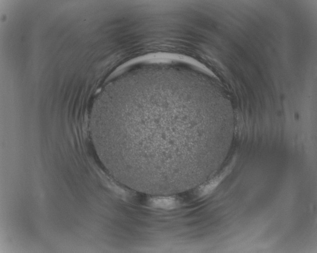 X0000070190189200606021106