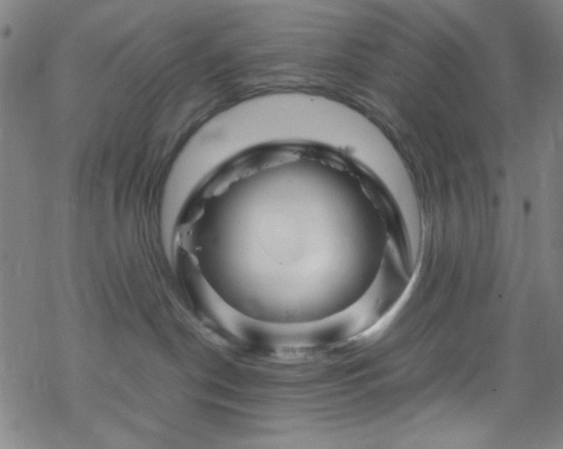 X0000070190190200606021106