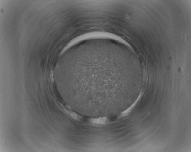 X0000070190191200606021106