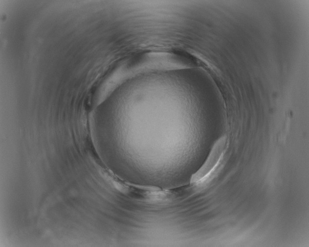 X0000070190192200606021106