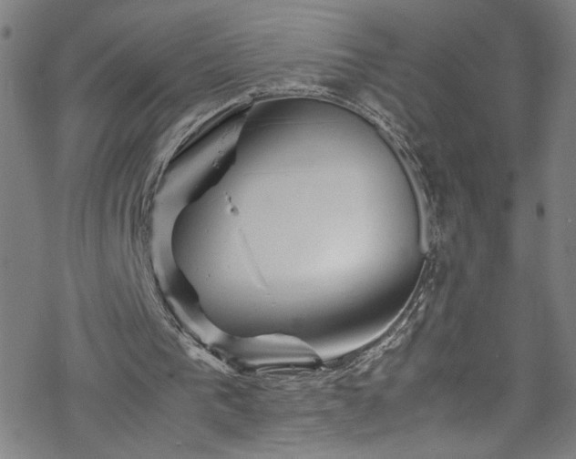 X0000070190193200606021106