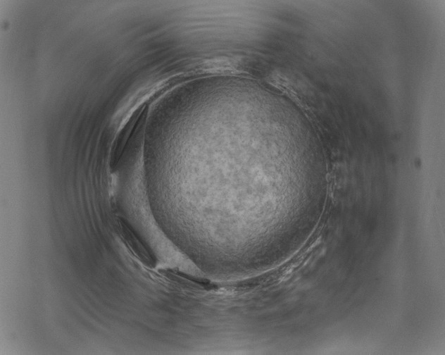 X0000070190194200606021106