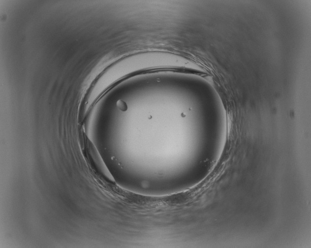 X0000070190195200606021106