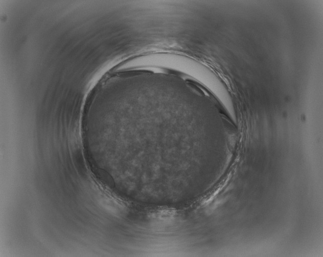 X0000070190196200606021106