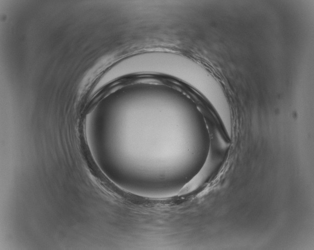 X0000070190197200606021106