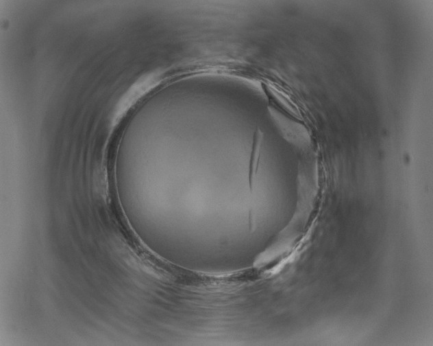 X0000070190198200606021106