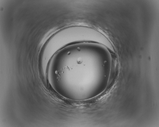 X0000070190199200606021106