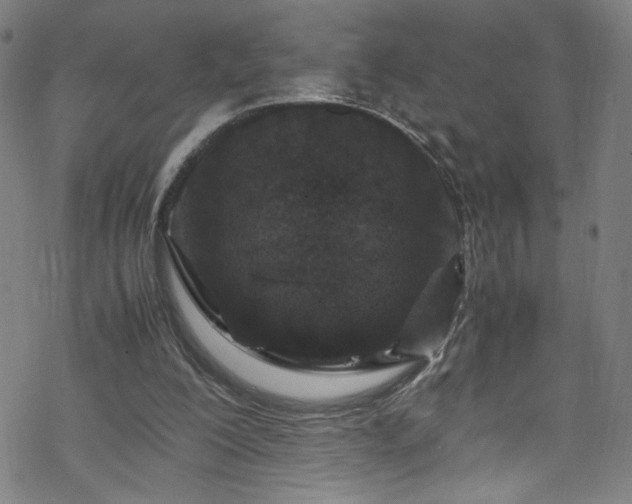 X0000070190200200606021106