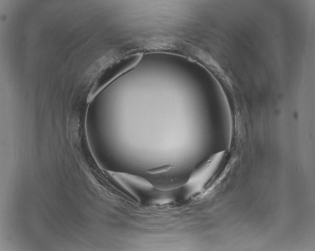 X0000070190201200606021106