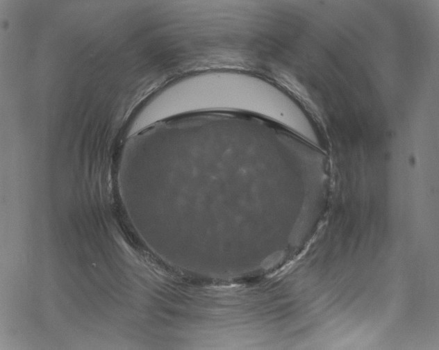 X0000070190202200606021106